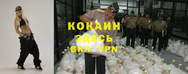 альфа пвп Гусев