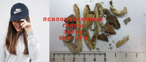mix Горнозаводск