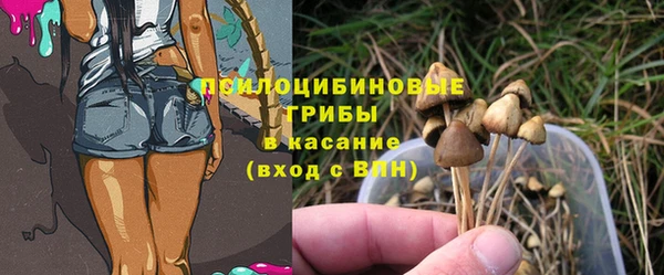 2c-b Горно-Алтайск