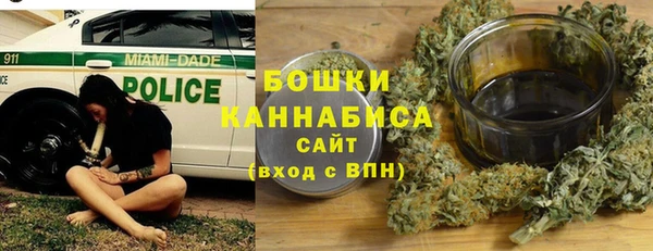 2c-b Горно-Алтайск